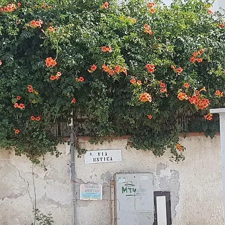 Valle Dei Templi Al Mare - A San Leone Agrigento
